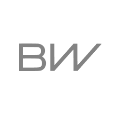BorgWarner